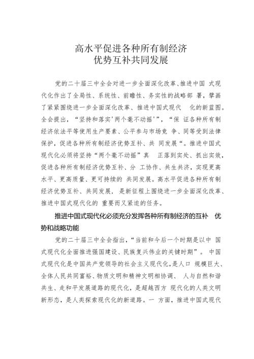 高水平促进各种所有制经济优势互补共同发展.docx