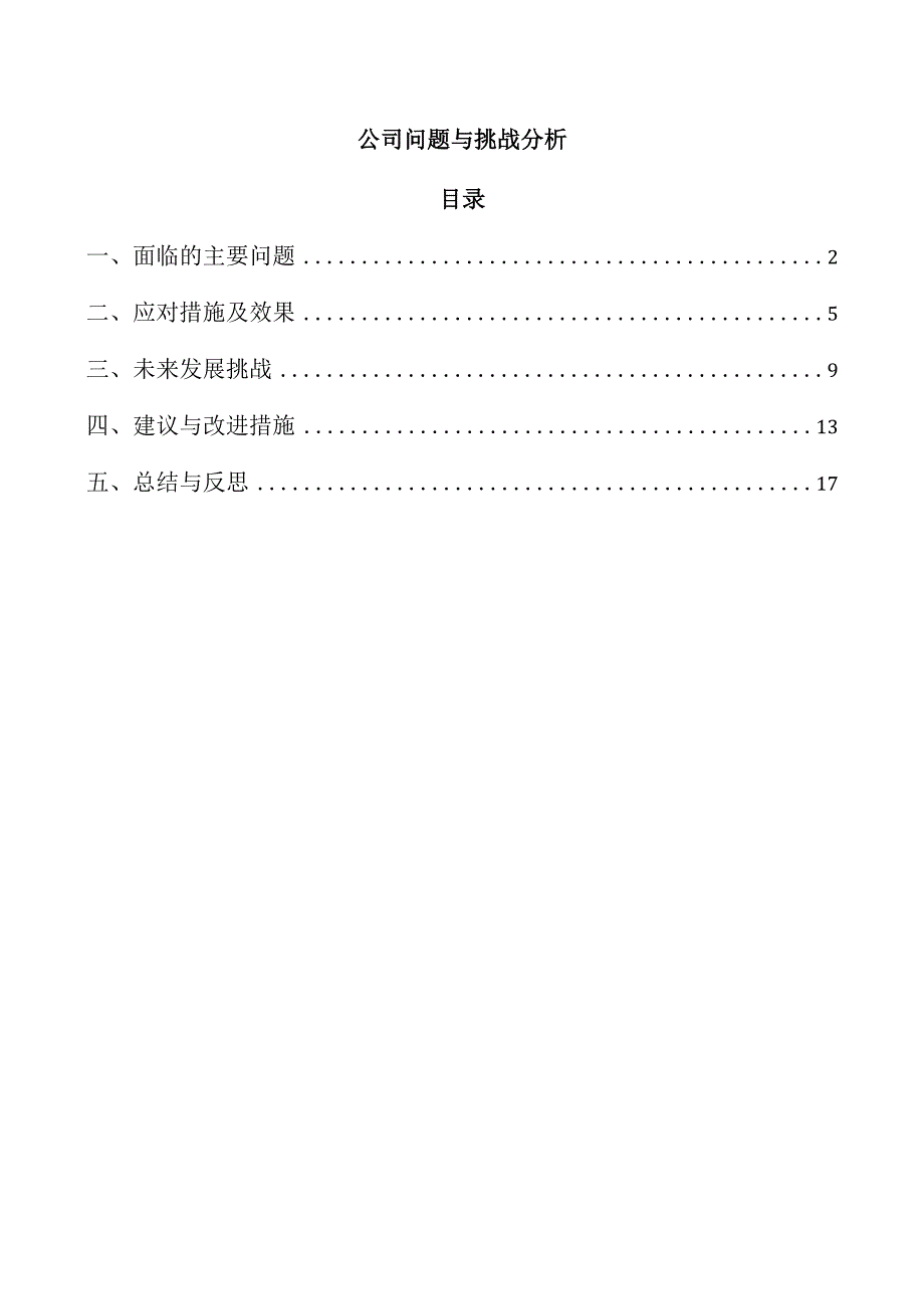公司问题与挑战分析.docx