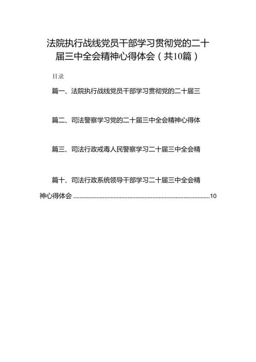 （10篇）法院执行战线党员干部学习贯彻党的二十三中全会精神心得体会（详细版）.docx