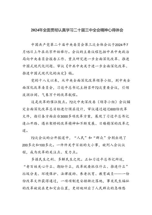 （8篇）2024年全面贯彻认真学习二十三中全会精神心得体会（详细版）.docx