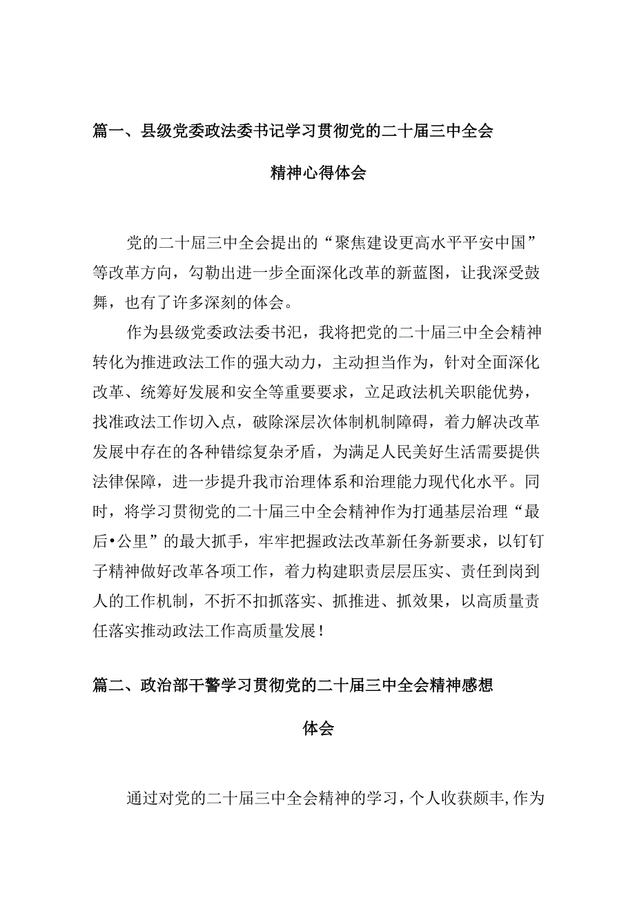 （10篇）县级党委政法委书记学习贯彻党的二十三中全会精神心得体会范文.docx_第2页
