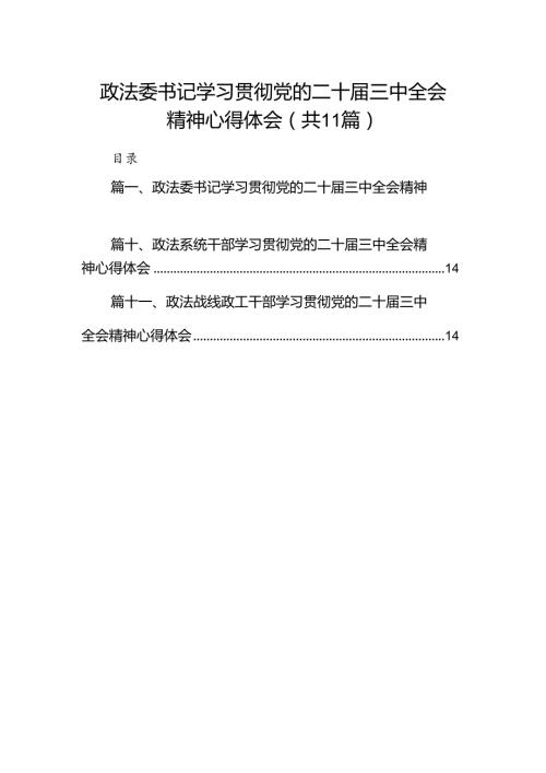 （11篇）政法委书记学习贯彻党的二十三中全会精神心得体会（详细版）.docx