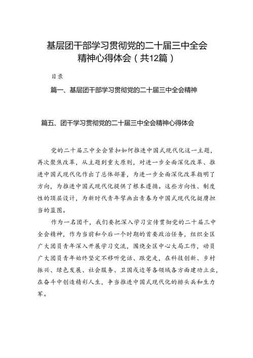 基层团干部学习贯彻党的二十三中全会精神心得体会(12篇集合).docx