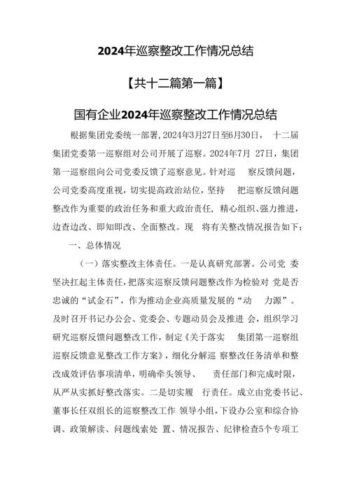 （12篇）2024年巡察整改工作情况总结.docx