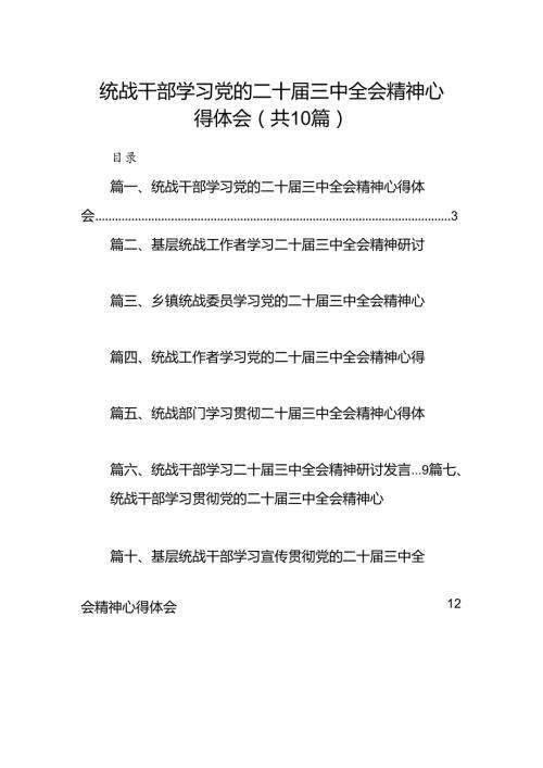 （10篇）统战干部学习党的二十三中全会精神心得体会（精选）.docx