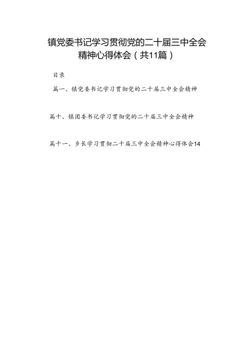 （11篇）镇党委书记学习贯彻党的二十三中全会精神心得体会（精编版）.docx