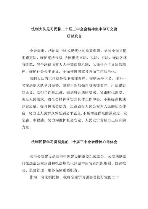 （11篇）法制大队见习民警二十三中全会精神集中学习交流研讨发言范文.docx