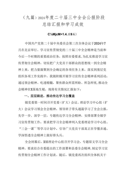 （九篇）2024二十三中全会公报阶段总结汇报和学习成效.docx