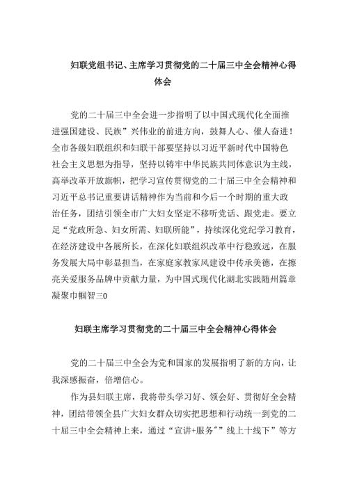 妇联党组书记、主席学习贯彻党的二十三中全会精神心得体会8篇（精选）.docx