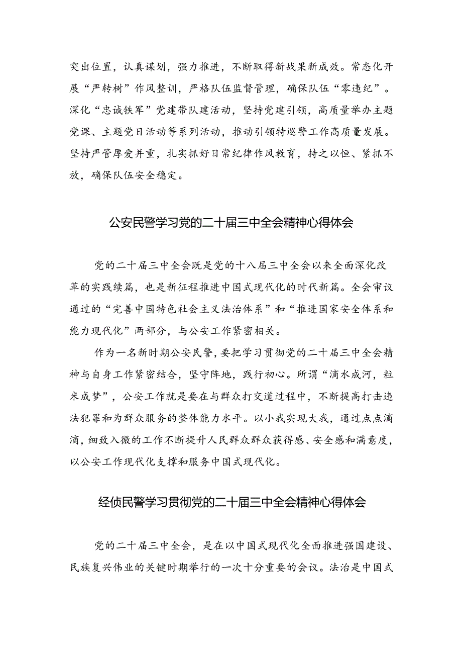 （9篇）刑警大队警察学习二十三中全会精神研讨发言范文.docx_第3页