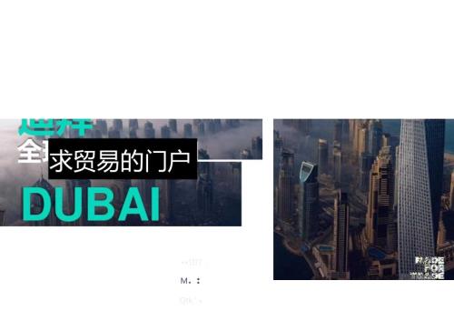 迪拜：全球贸易的门户.docx