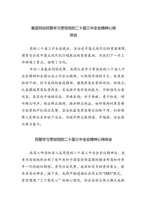 （9篇）基层刑侦民警学习贯彻党的二十三中全会精神心得体会（详细版）.docx