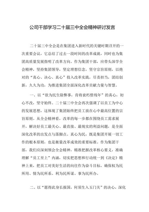 公司干部、员工学习二十三中全会精神研讨发言范文.docx