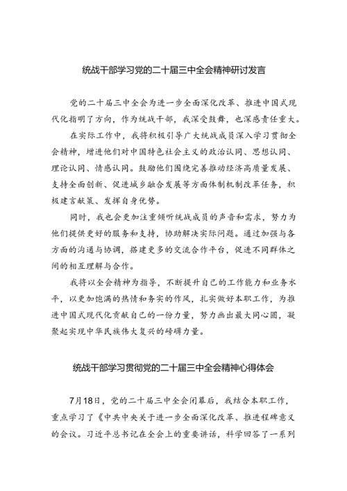 （9篇）统战干部学习党的二十三中全会精神研讨发言（最新版）.docx