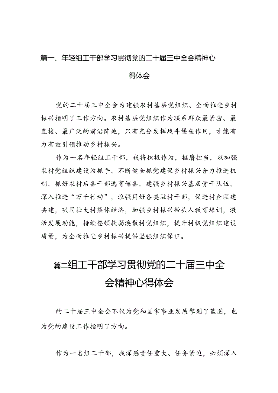 （10篇）2024年轻组工干部学习贯彻党的二十三中全会精神心得体会（最新版）.docx_第2页