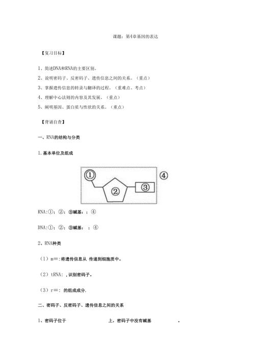 第4章 基因的表达（导学案无答案）.docx