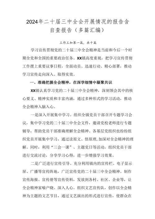 2024年二十三中全会开展情况的报告含自查报告（多篇汇编）.docx