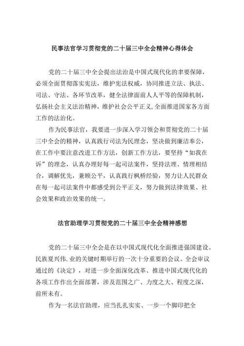 （11篇）民事法官学习贯彻党的二十三中全会精神心得体会完整版.docx