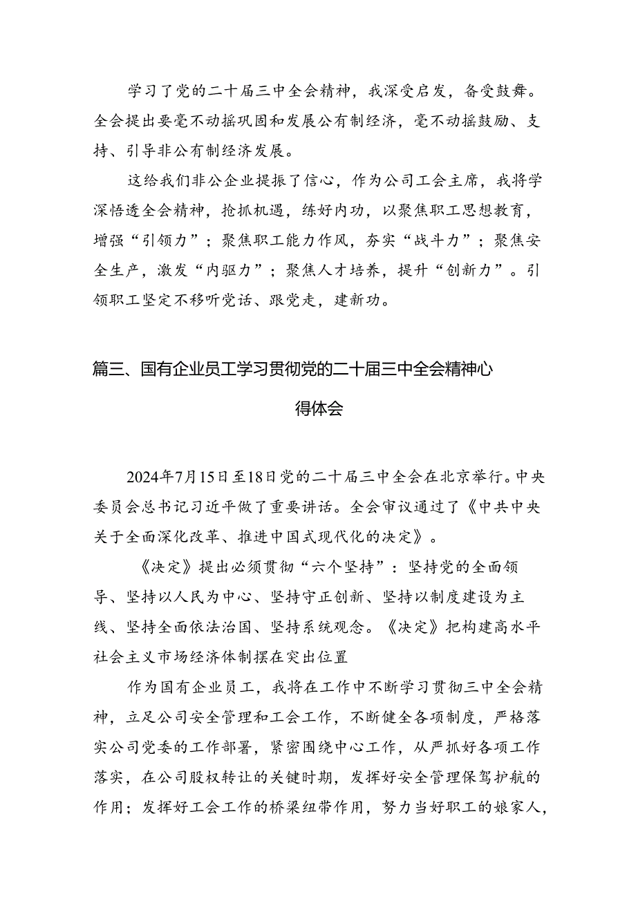 （10篇）公司总经理学习党的二十三中全会精神心得体会研讨发言范文.docx_第3页