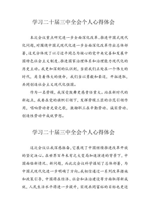 2024年学习《二十三中全会》个人心得体会 （汇编8份）.docx