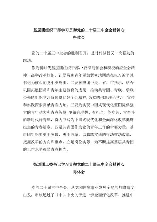 （11篇）基层团组织干部学习贯彻党的二十三中全会精神心得体会（精选）.docx