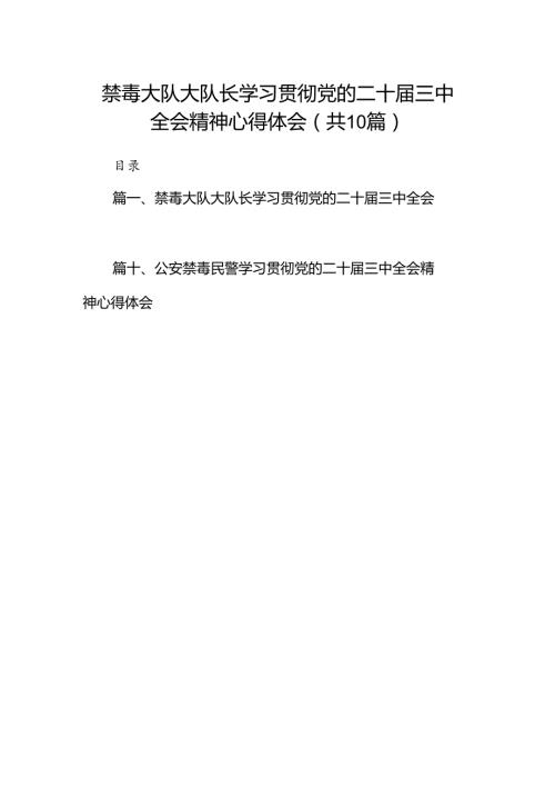 （10篇）禁毒大队大队长学习贯彻党的二十三中全会精神心得体会（精选）.docx
