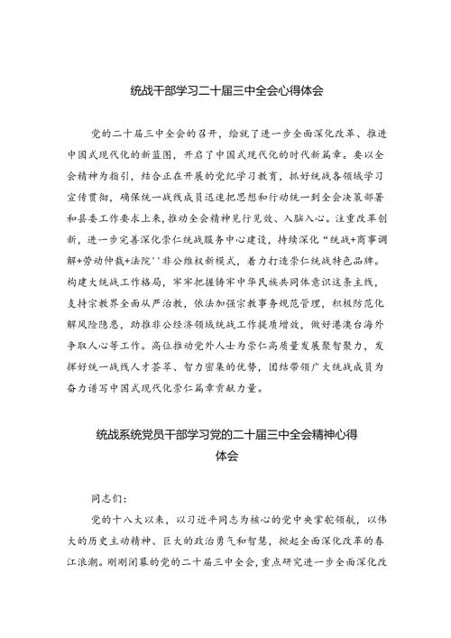 （9篇）统战干部学习二十三中全会心得体会范文.docx