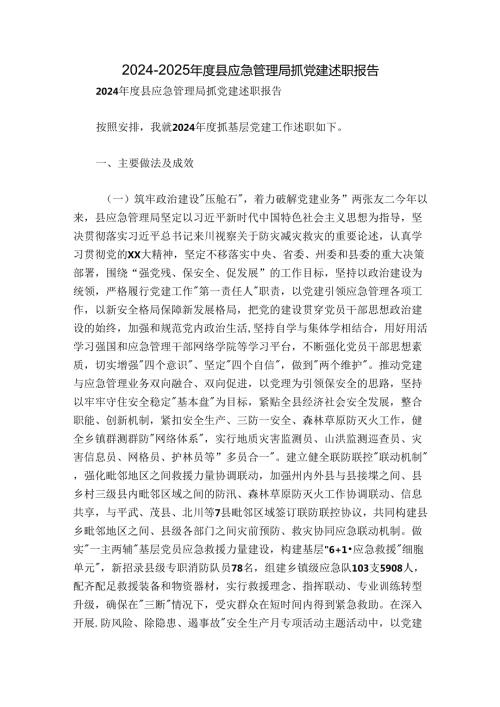 20242025县应急管理局抓党建述职报告.docx