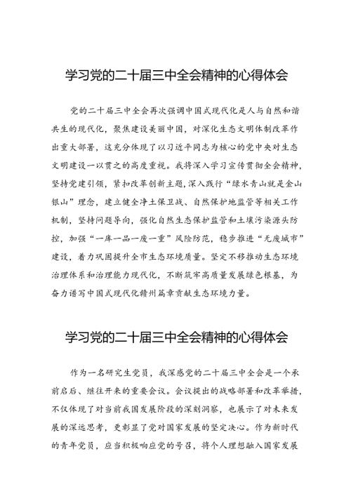 2024年党的二十三中全会精神学习体会简要版四十篇.docx