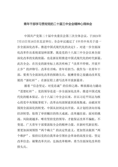 青年干部学习贯彻党的二十三中全会精神心得体会（共7篇）.docx