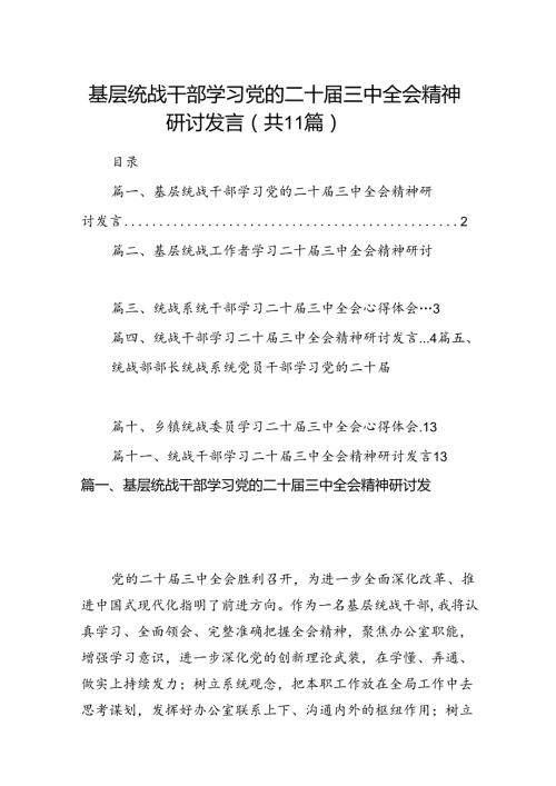 （11篇）基层统战干部学习党的二十三中全会精神研讨发言（详细版）.docx