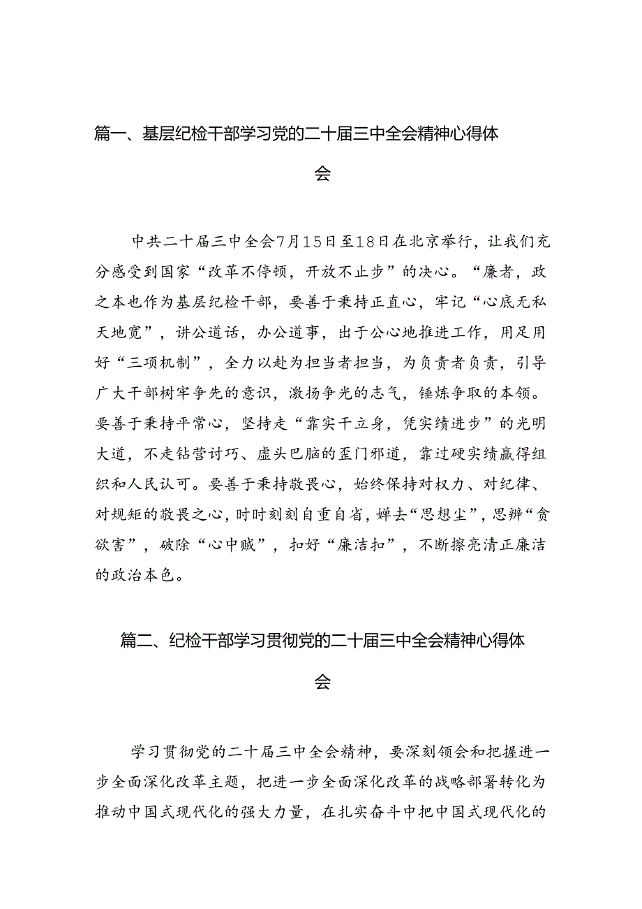 （10篇）基层纪检干部学习党的二十三中全会精神心得体会（详细版）.docx_第2页