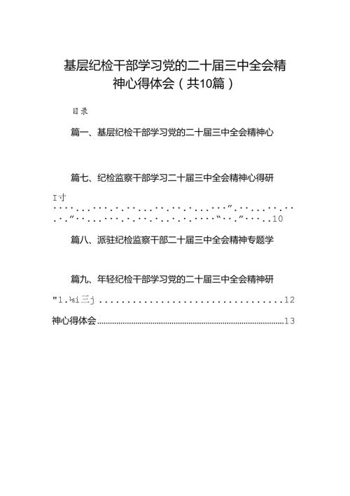 （10篇）基层纪检干部学习党的二十三中全会精神心得体会（详细版）.docx