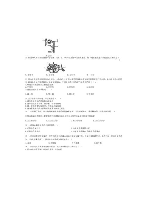 第5章 人体的物质和能量的转化单元检测(无答案).docx