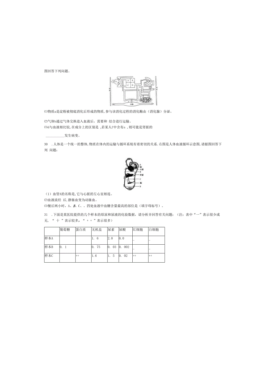 第5章 人体的物质和能量的转化单元检测(无答案).docx_第3页