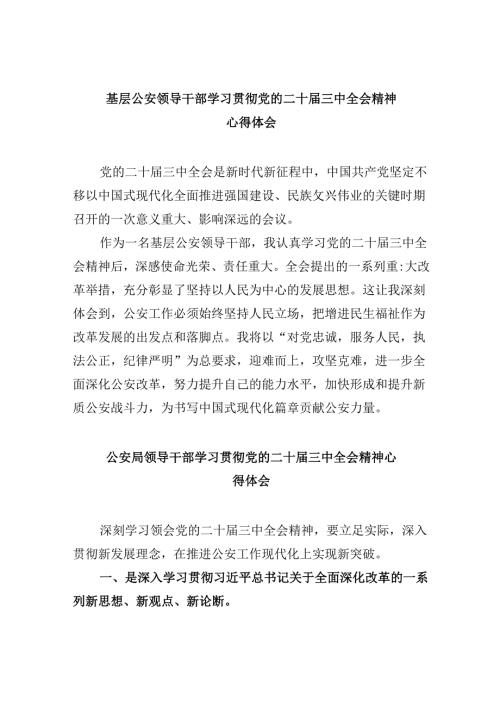 （11篇）基层公安领导干部学习贯彻党的二十三中全会精神心得体会汇编.docx