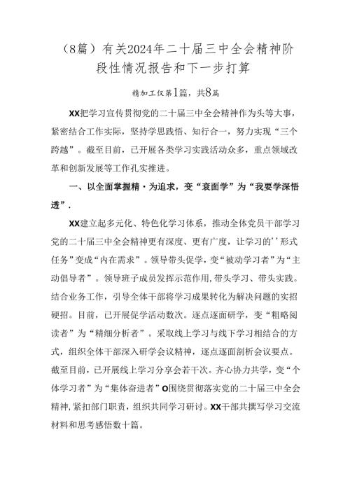（8篇）有关2024年二十三中全会精神阶段性情况报告和下一步打算.docx