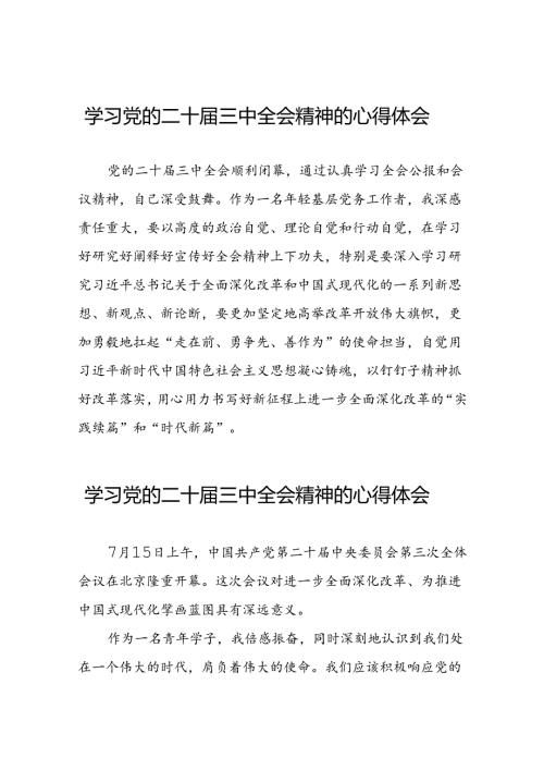 2024年党的二十三中全会精神学习体会模板四十四篇.docx