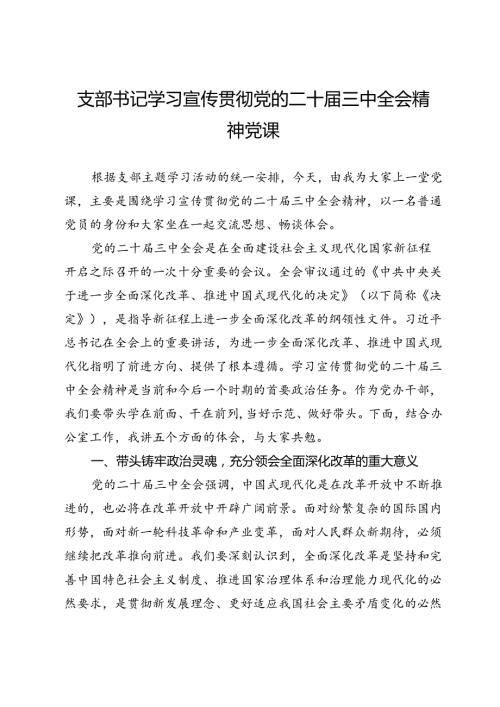 支部书记学习宣传贯彻党的二十三中全会精神党课.docx