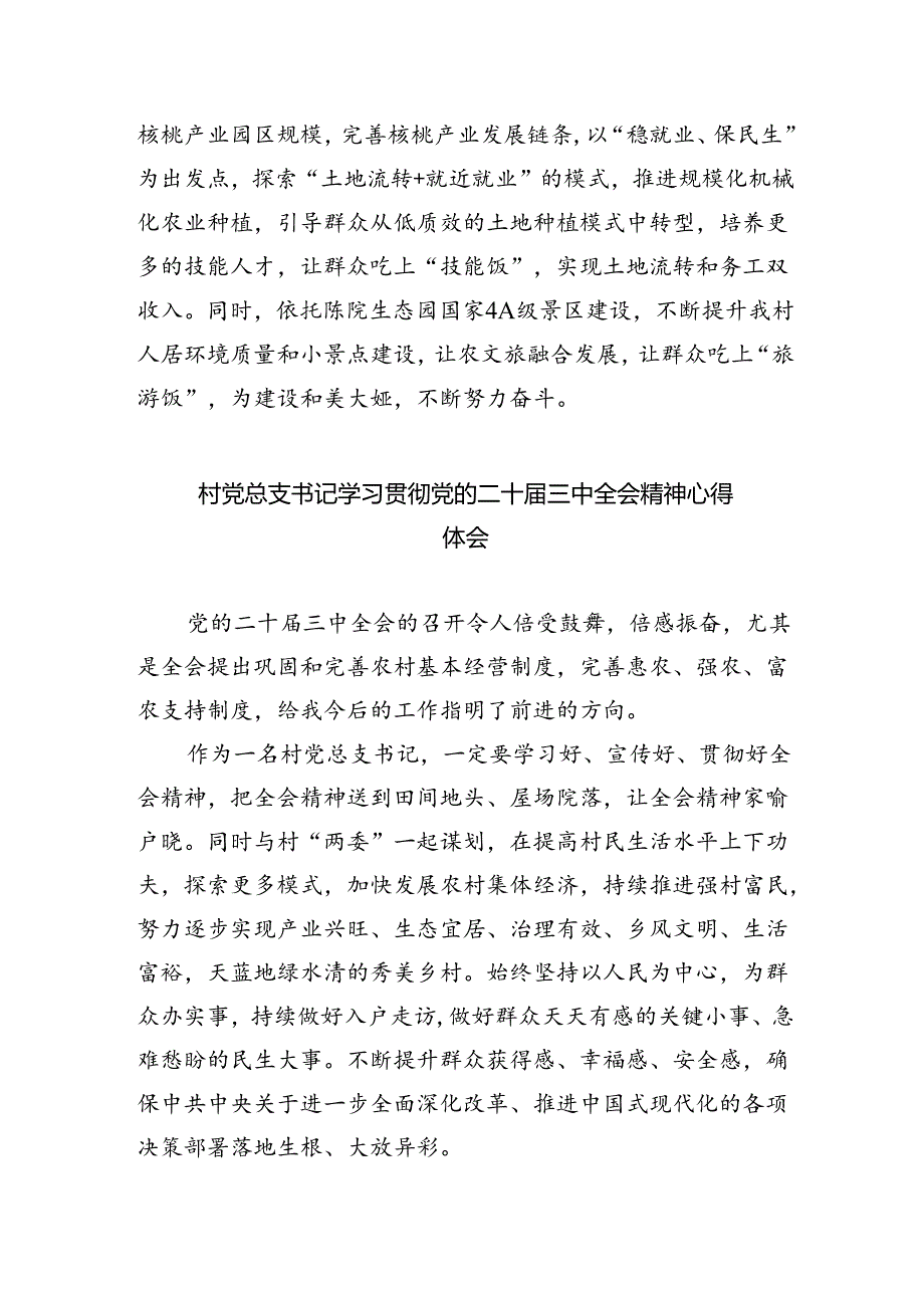 （9篇）基层农村工作者学习贯彻党的二十三中全会精神心得体会（详细版）.docx_第2页