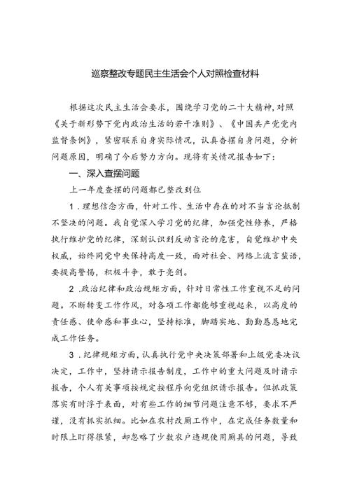 （10篇）巡察整改专题民主生活会个人对照检查材料通用范文.docx