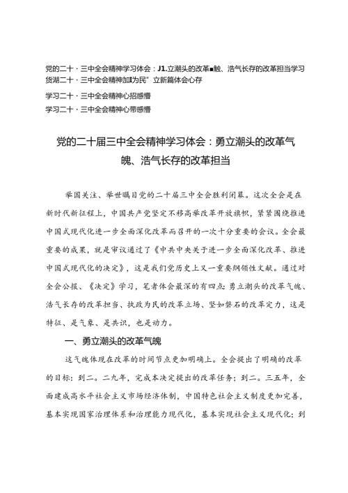 4篇 2024年党的二十三中全会精神学习体会感悟.docx