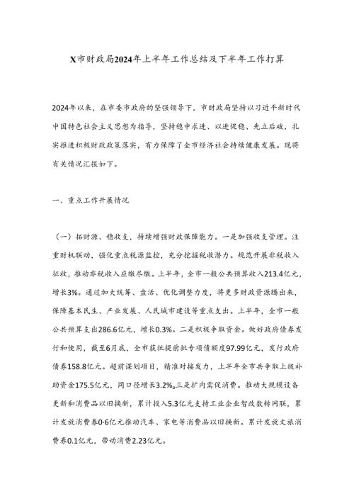 X市财政局2024年上半年工作总结及下半年工作打算.docx