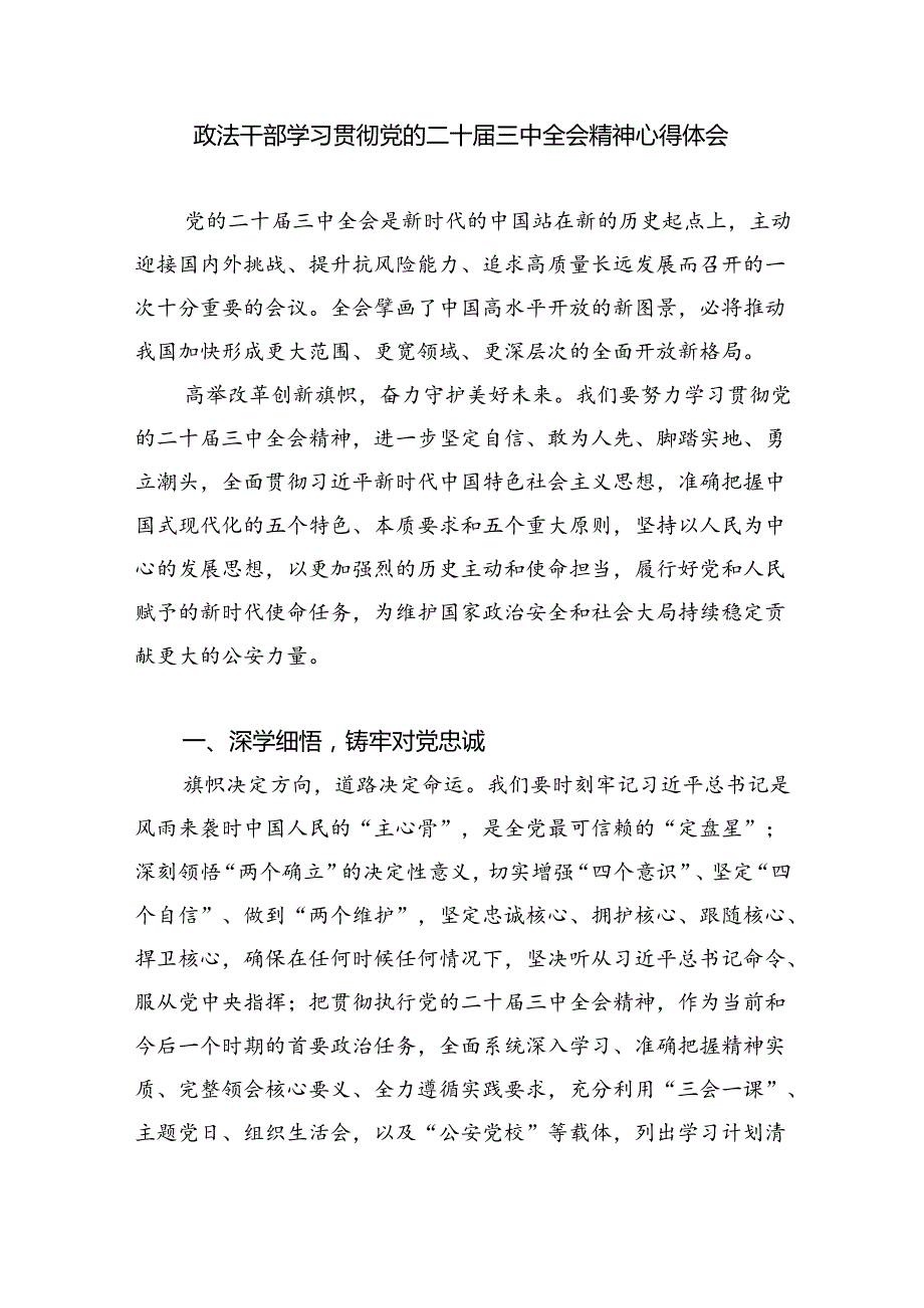 青年政法干部学习贯彻党的二十三中全会精神心得体会8篇（精选版）.docx_第3页