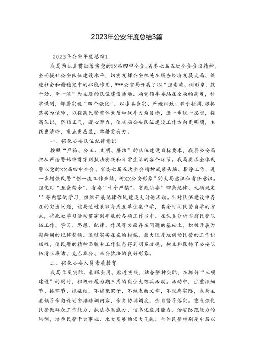 2023年公安总结3篇.docx