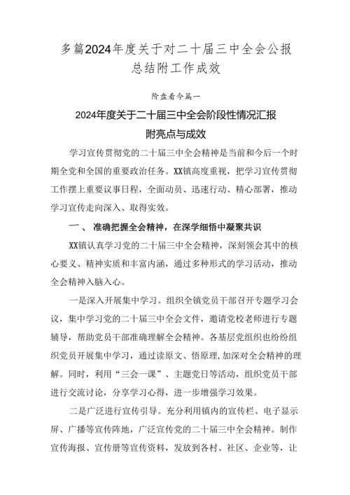 多篇2024关于对二十三中全会公报总结附工作成效.docx