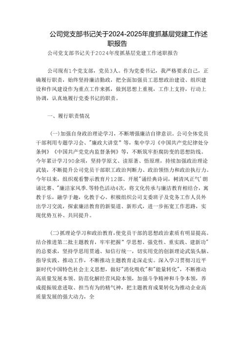 公司党支部书记关于20242025抓基层党建工作述职报告.docx