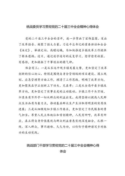（9篇）统战委员学习贯彻党的二十三中全会精神心得体会范文.docx