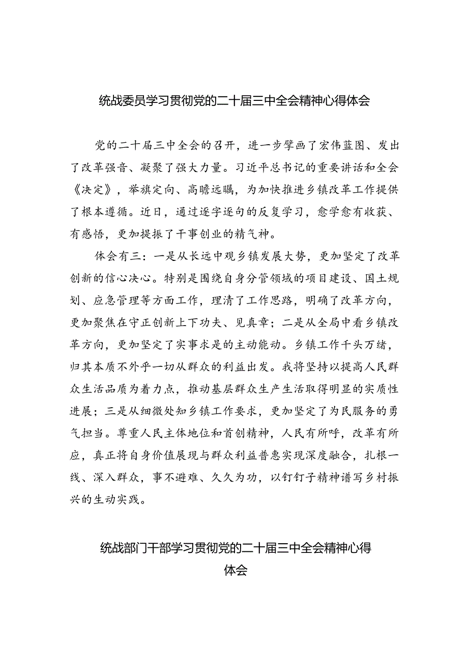 （9篇）统战委员学习贯彻党的二十三中全会精神心得体会范文.docx_第1页