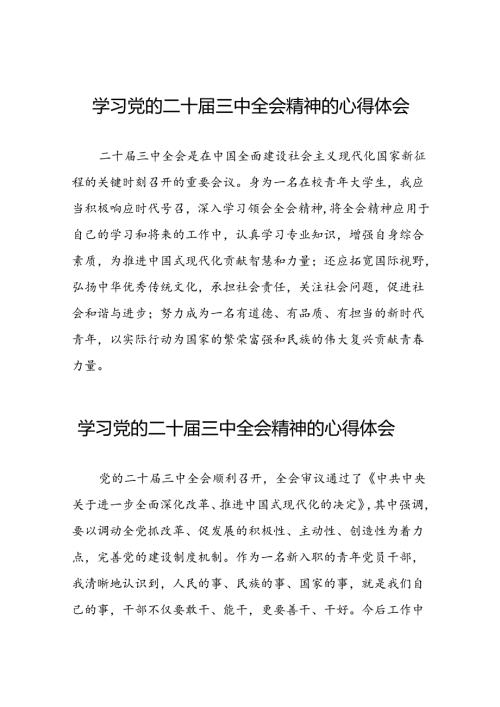 2024年二十三中全会精神学习体会精品四十四篇.docx